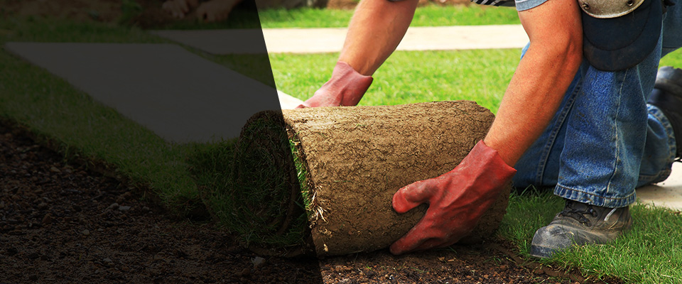 North Little Rock Landscapers